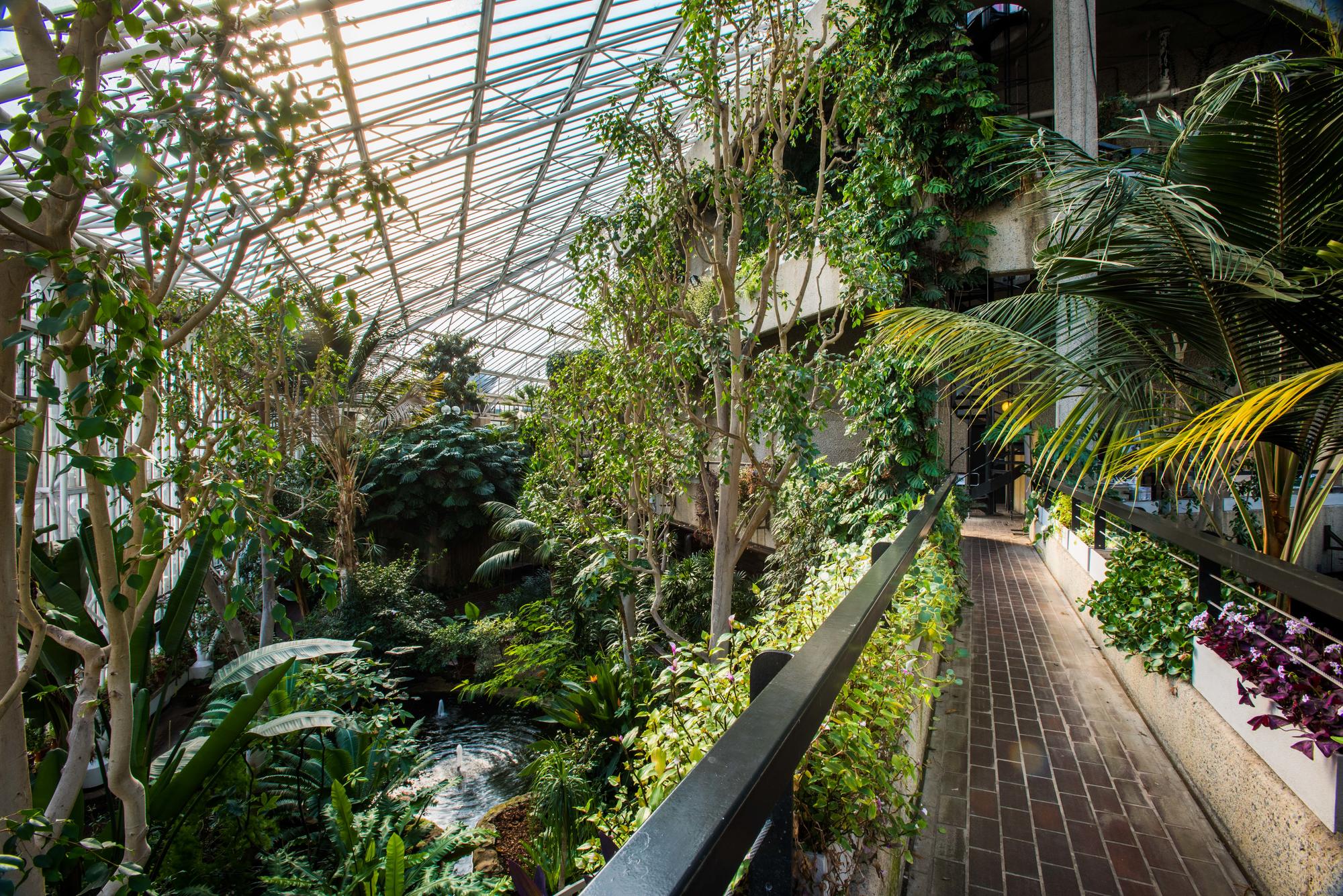 The Barbican, Conservatory