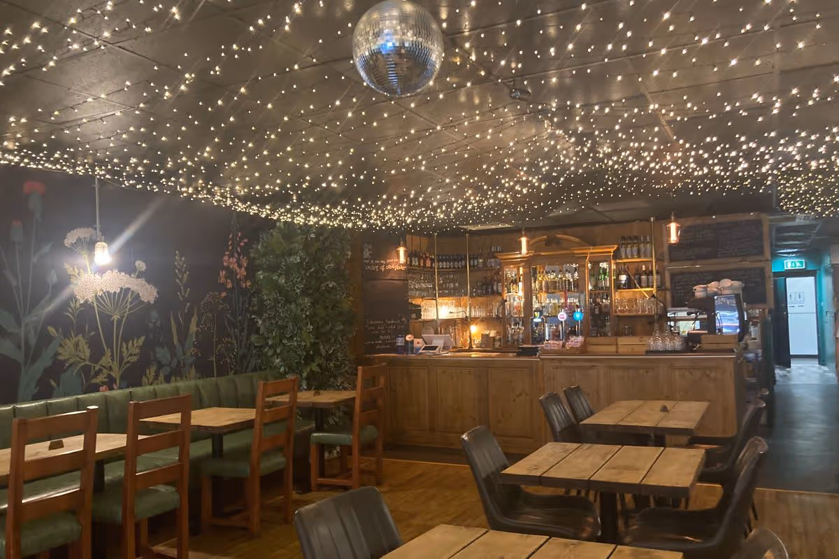 Super Natural Cafe, Dining / restaurant