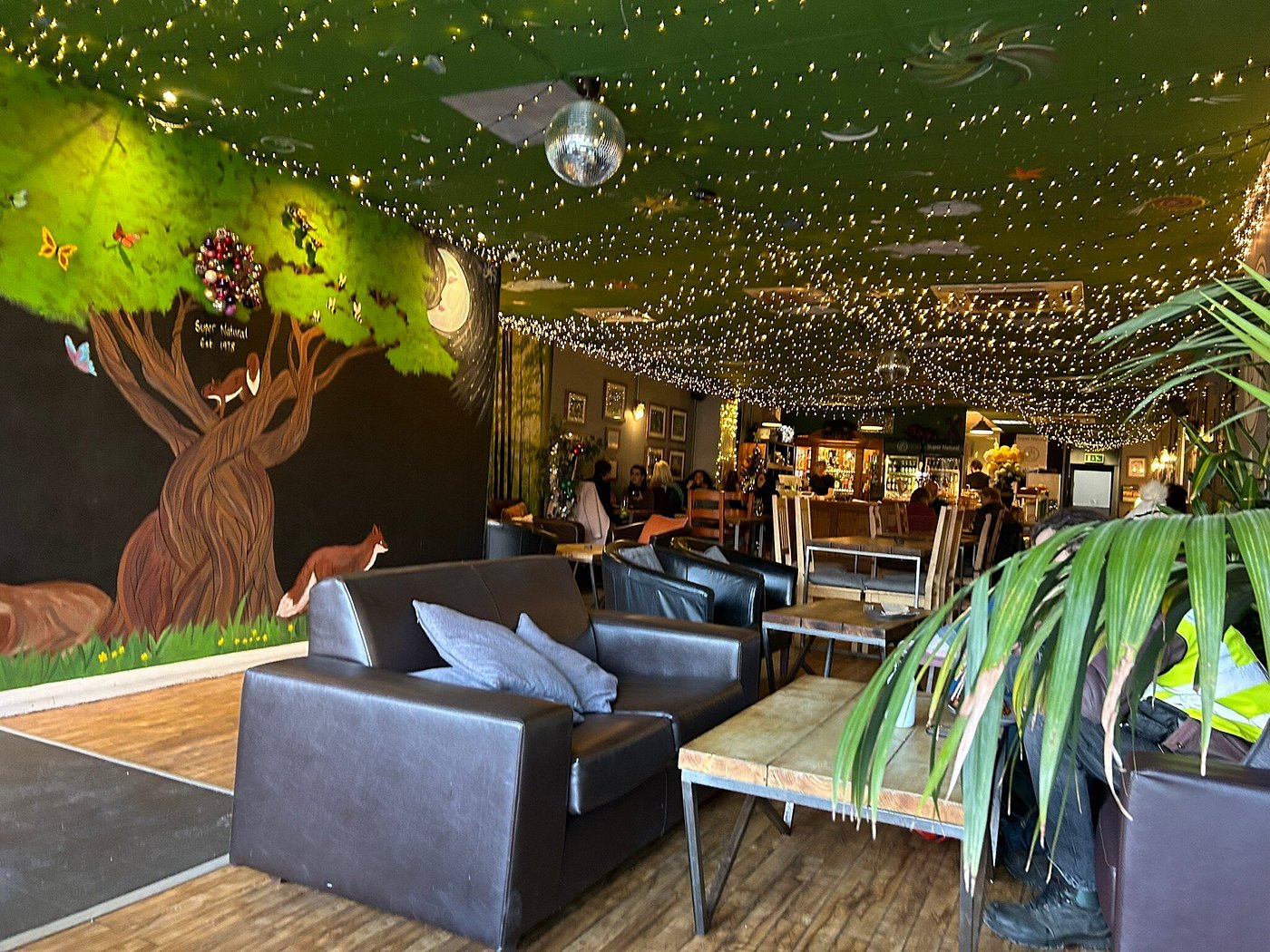 Super Natural Cafe, Dining / restaurant