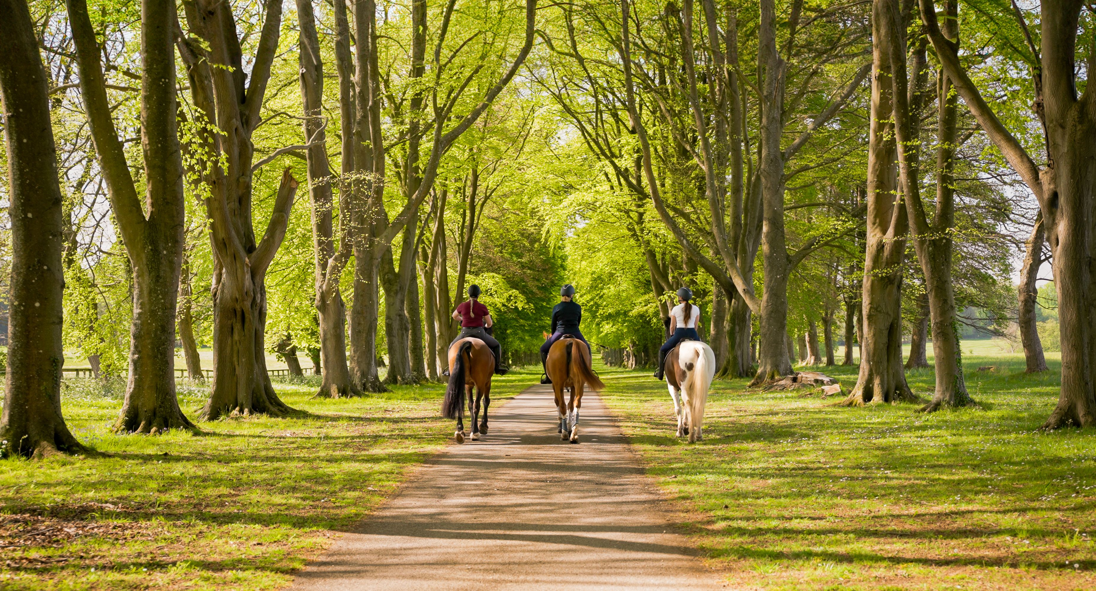 Lucknam Park, Activity space